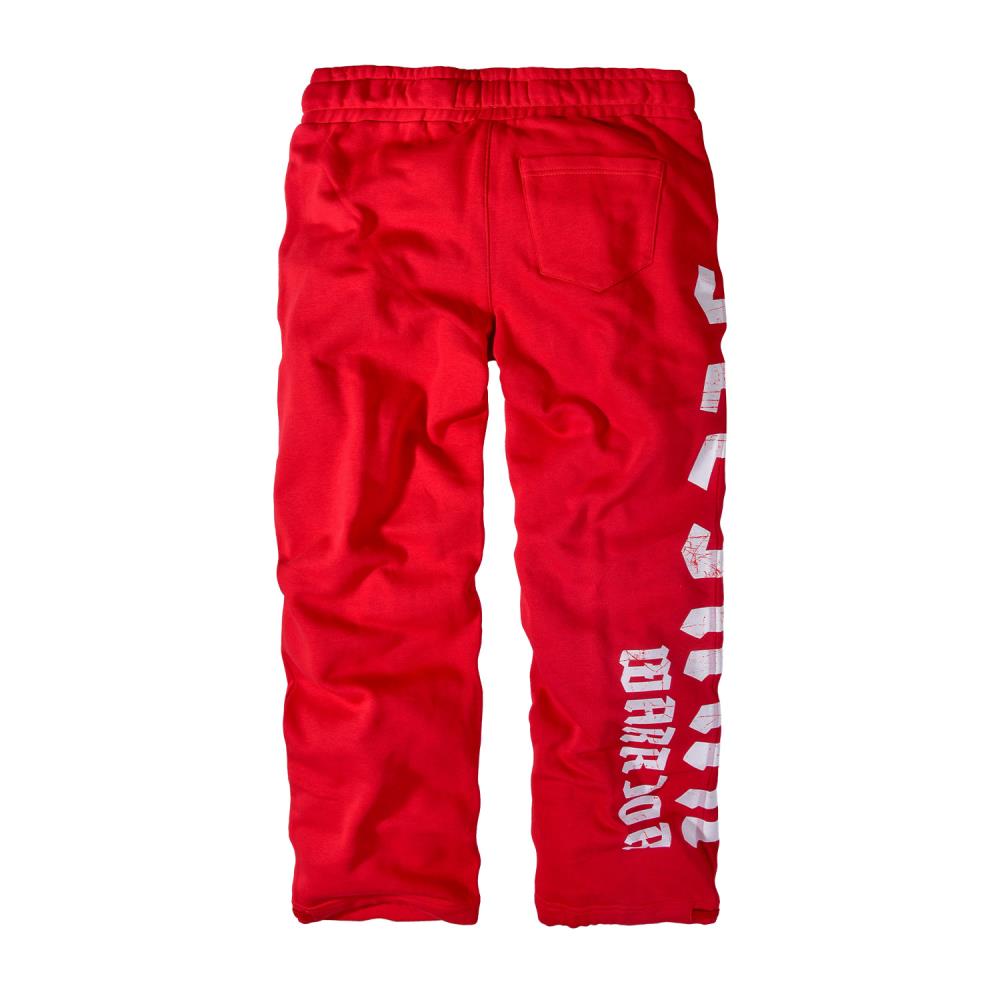 HL-W23-16214-Steinar_Warrior-rot-hinten_20399